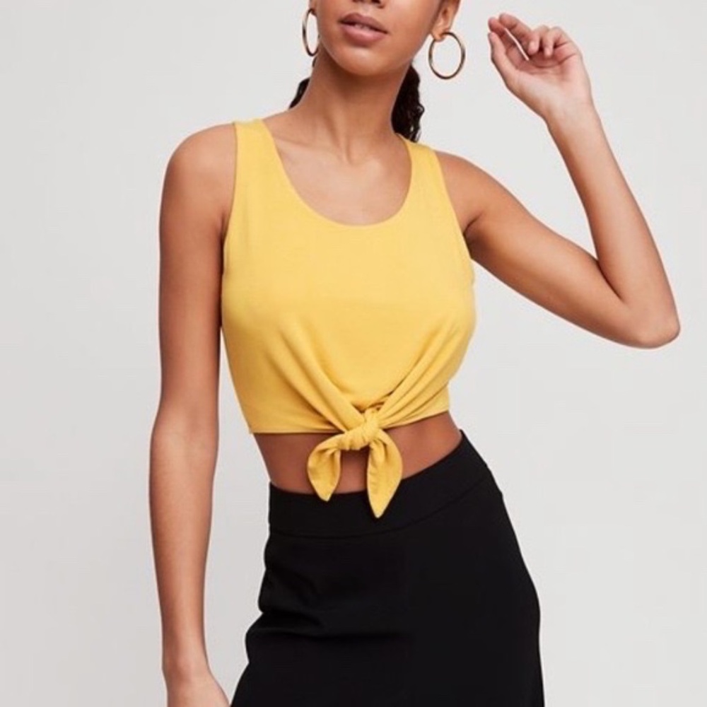 BNWT ARITZIA Babaton Jeronimo Cropped Tank